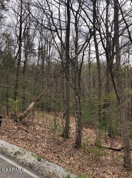 165 Rotherham Dr, Fairfield Glade, TN 38558