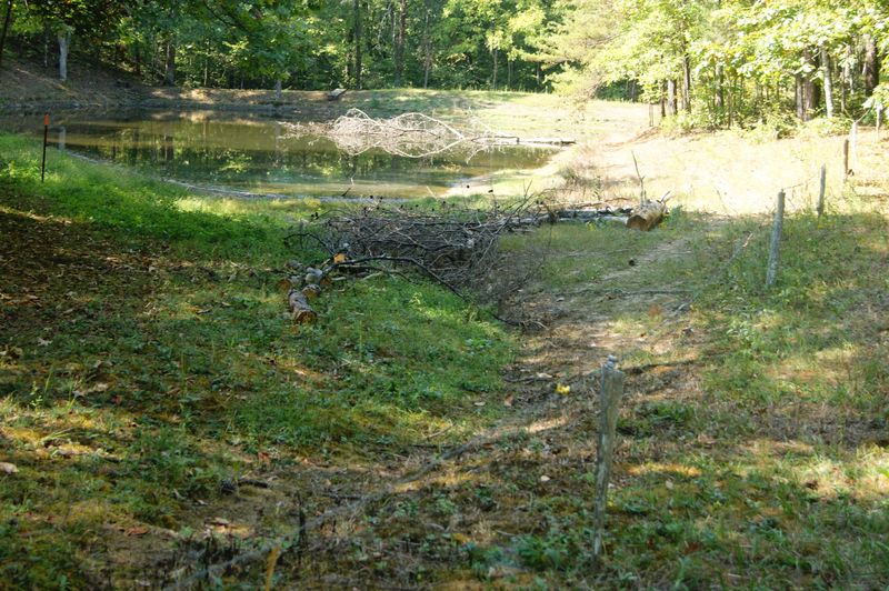 165 Wilson Cir, Tellico Plains, TN 37385