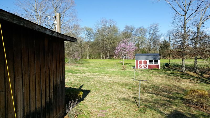 1650 Sheets Hollow Rd, Greenback, TN 37742
