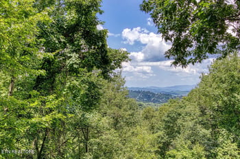 1651 Arbon Ct, Gatlinburg, TN 37738
