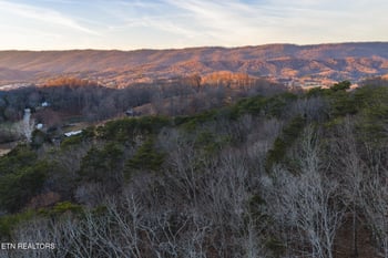 1655 Lester Whitt Rd, Rutledge, TN 37861