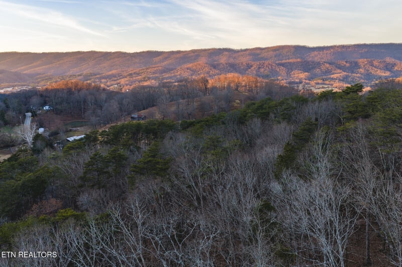 1655 Lester Whitt Rd, Rutledge, TN 37861