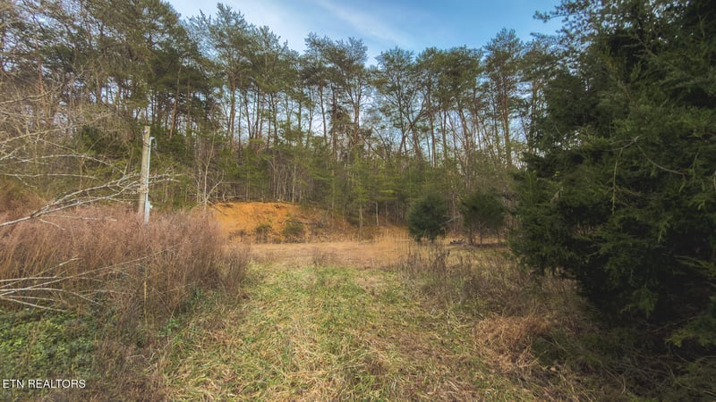 1655 Lester Whitt Rd, Rutledge, TN 37861