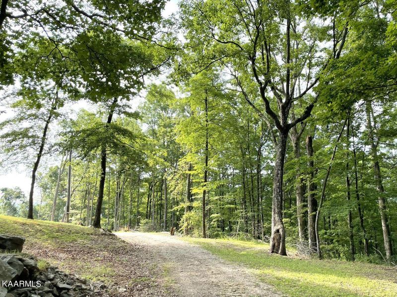 1659 Campbell Highlands Dr, Pioneer, TN 37847