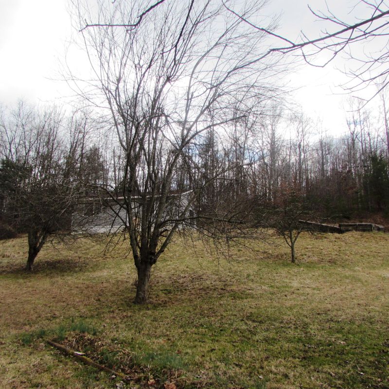 166 Ralph Hughett Ln, Oneida, TN 37841