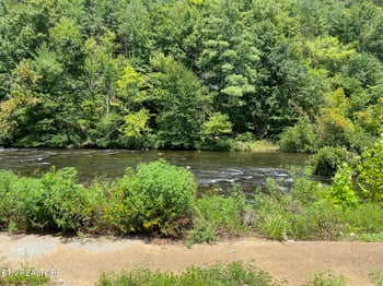 1665 Cherohala, Tellico Plains, TN 37385