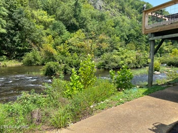 1665 Cherohala, Tellico Plains, TN 37385