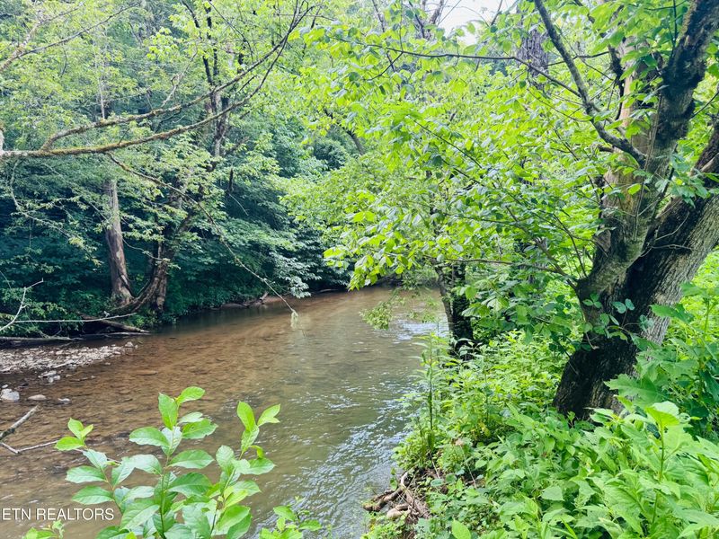 1668 Misty Mountain Way, Sevierville, TN 37876