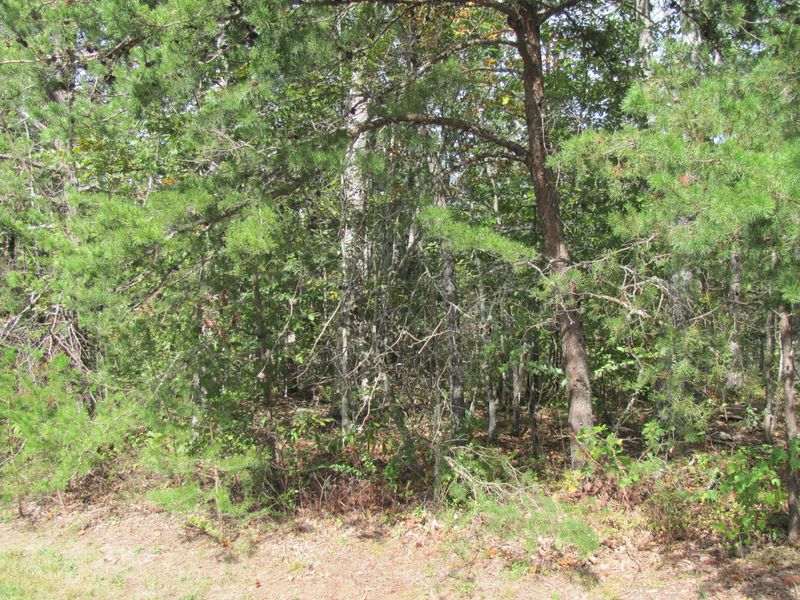167 Canterbury Dr, Fairfield Glade, TN 38558