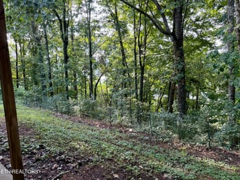 167 Hudson Ln, Clinton, TN 37716