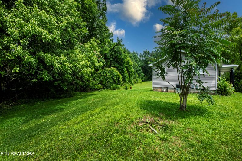 167 Strutt St, Oliver Springs, TN 37840