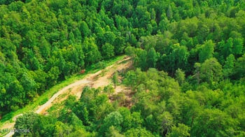 1670 Jobey Green Hollow Rd, Sevierville, TN 37876