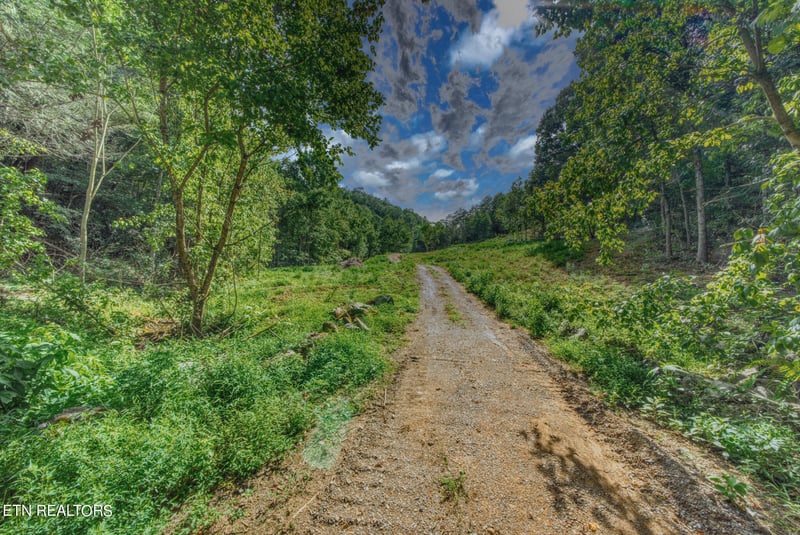 1670 Jobey Green Hollow Rd, Sevierville, TN 37876