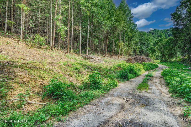 1670 Jobey Green Hollow Rd, Sevierville, TN 37876