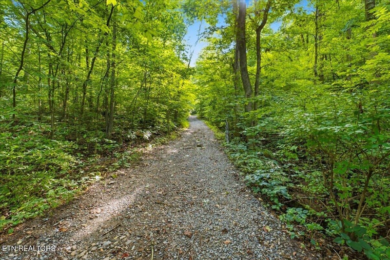 16750 Tn 95, Greenback, TN 37742