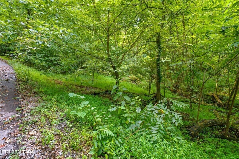 16750 Tn 95, Greenback, TN 37742
