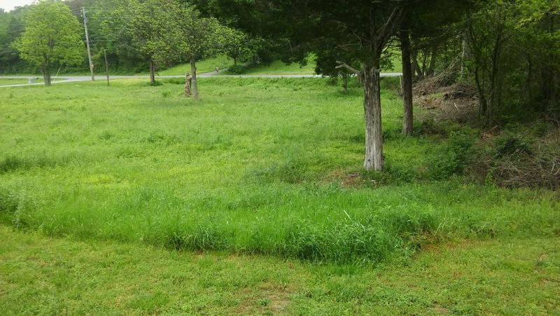 168 Ellis St, Vonore, TN 37885