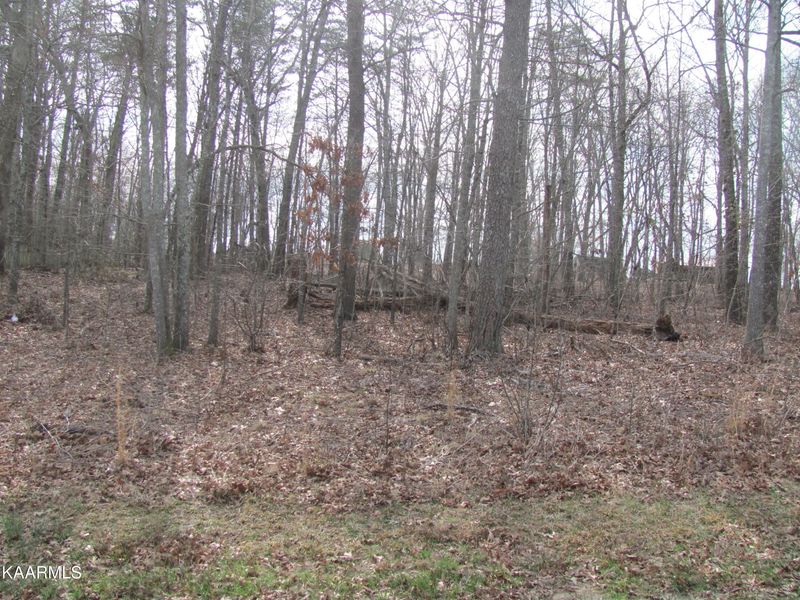 168 Saint George Dr, Fairfield Glade, TN 38558