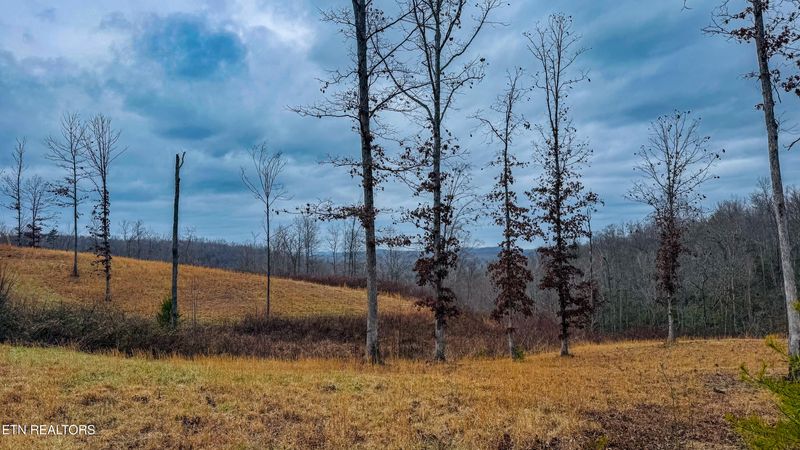 1682 Clifty Creek Rd, Winfield, TN 37892