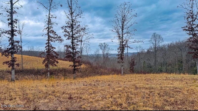 1682 Clifty Creek Rd, Winfield, TN 37892
