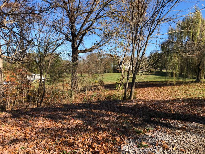 169 Pine Fork Rd, Rutledge, TN 37861