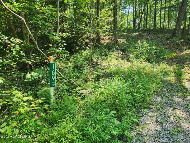 169 Woods Hollow Ln, Crossville, TN 38571