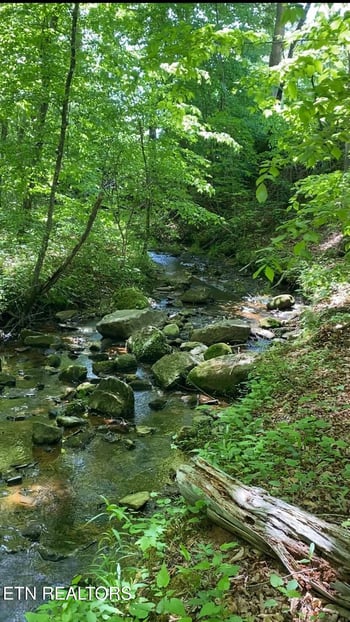 1693 Steve Brown Rd, Bean Station, TN 37708