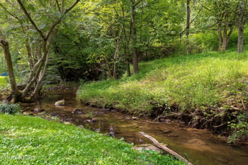 1697 Munsey Hatcher Rd, Seymour, TN 37865