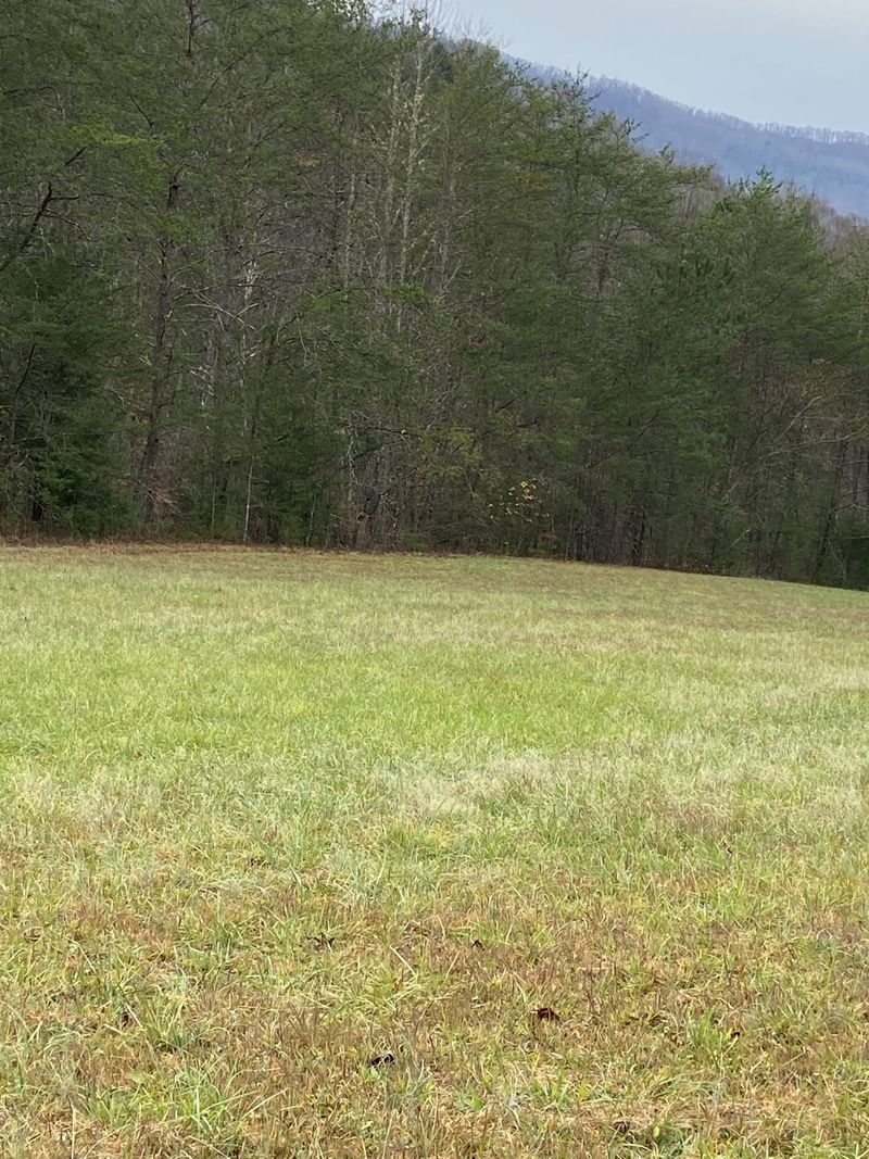 17 acres Old Chilhowee Rd, Seymour, TN 37865