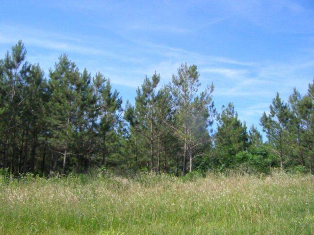 17 Acres Thomas Springs Rd, Crossville, TN 38572