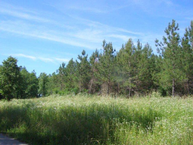 17 Acres Thomas Springs Rd, Crossville, TN 38572