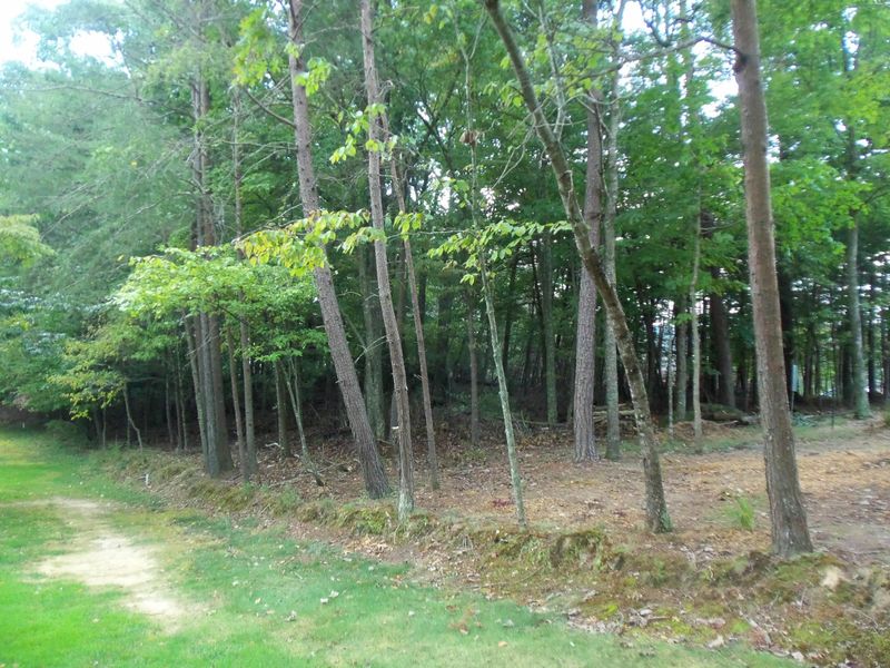 17 Brixton Ln, Fairfield Glade, TN 38558