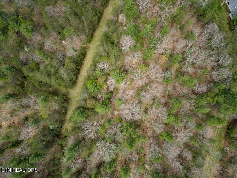 17 Menteith Ln, Crossville, TN 38558