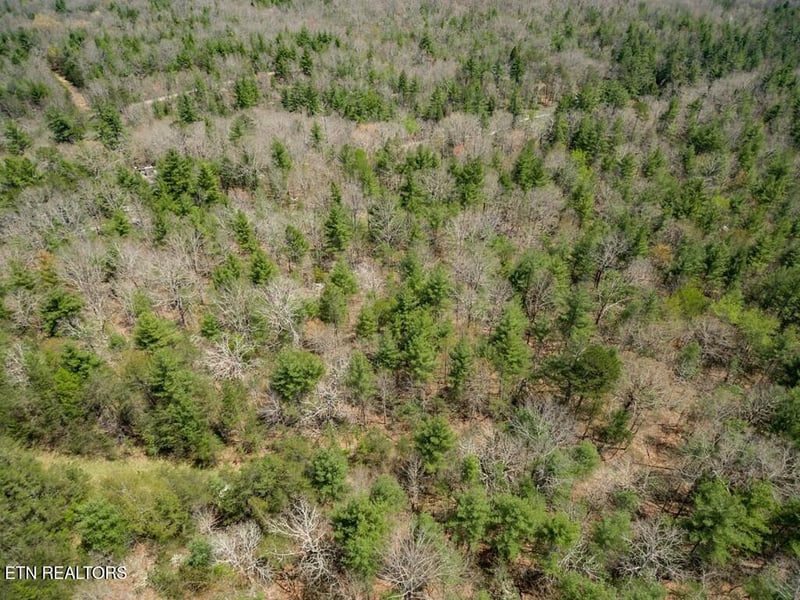 17 Menteith Ln, Crossville, TN 38558