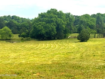 17.5 acres County Road 571, Englewood, TN 37329