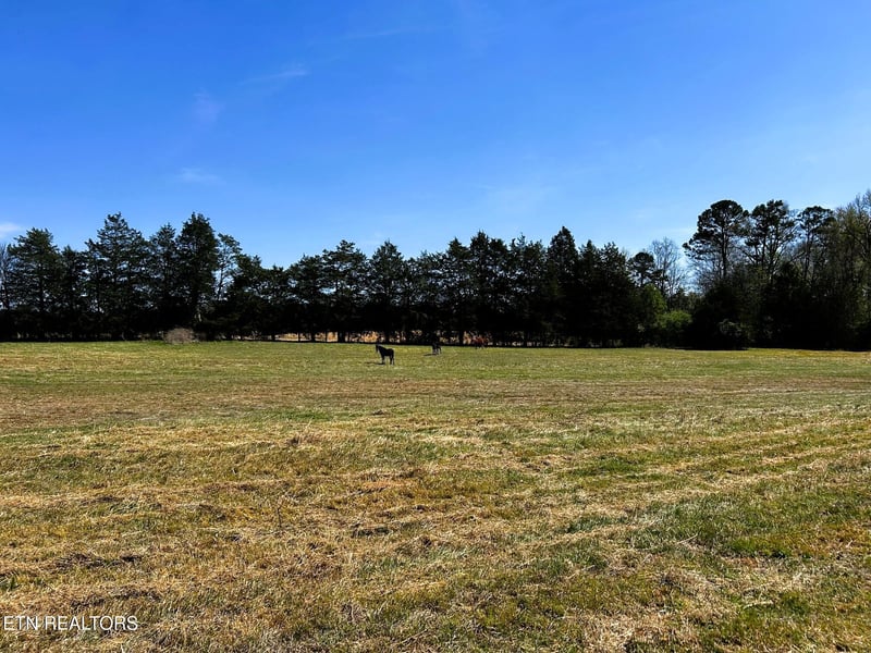 17.5 acres County Road 571, Englewood, TN 37329