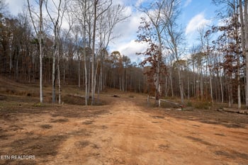 170 Dogtown Rd, Ten Mile, TN 37880