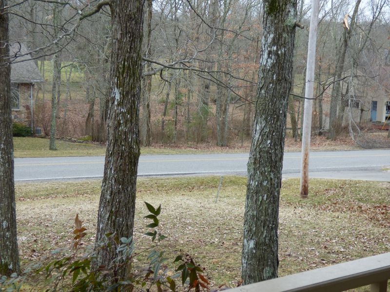 170 Snead Dr, Fairfield Glade, TN 38558