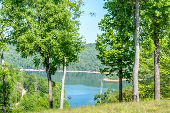 170 Sunset Blvd, Maynardville, TN 37807