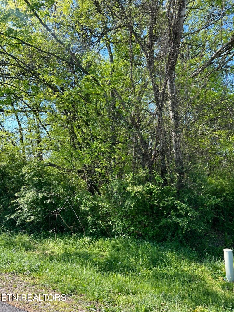 170 Utsesti Way, Loudon, TN 37774