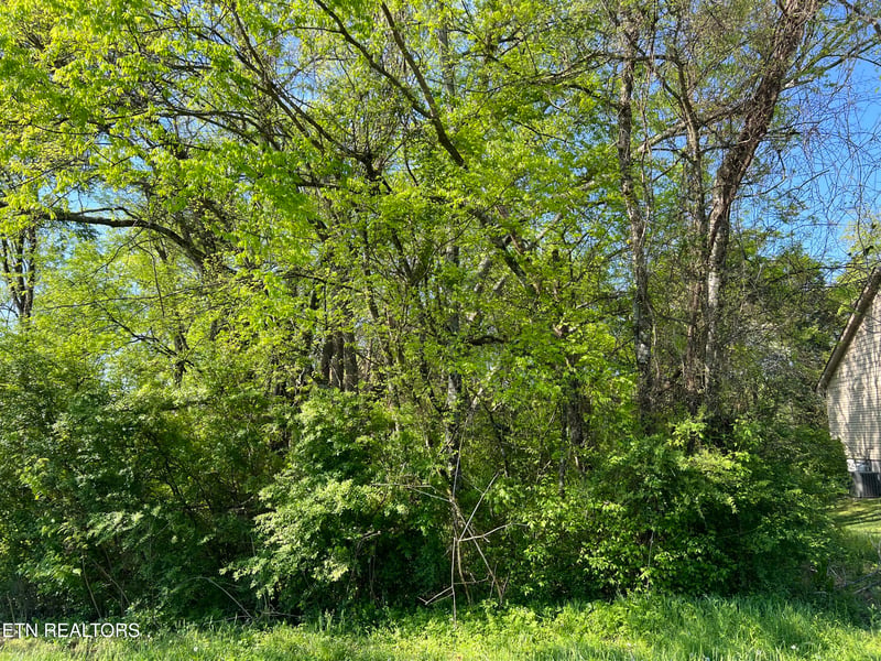 170 Utsesti Way, Loudon, TN 37774