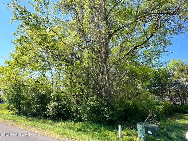 170 Utsesti Way, Loudon, TN 37774