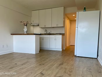 1700 Clinch Ave #221, Knoxville, TN 37916