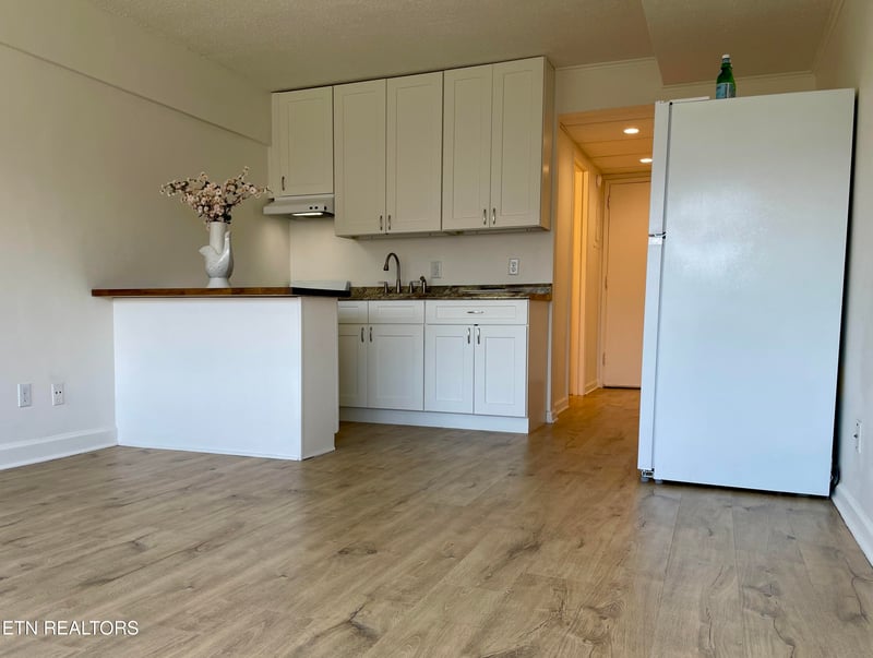 1700 Clinch Ave #221, Knoxville, TN 37916