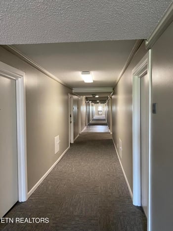 1700 Clinch Ave #503, Knoxville, TN 37916