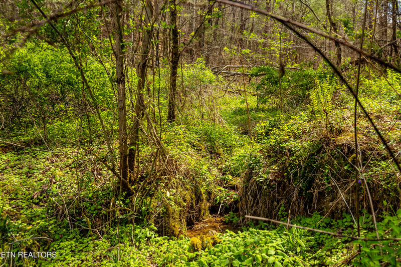 1700 Rafter Rd, Tellico Plains, TN 37385