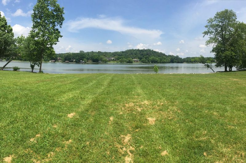 1702 Gull Ln, Knoxville, TN 37919