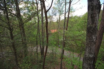 1704 Jacks Ps, Pigeon Forge, TN 37876