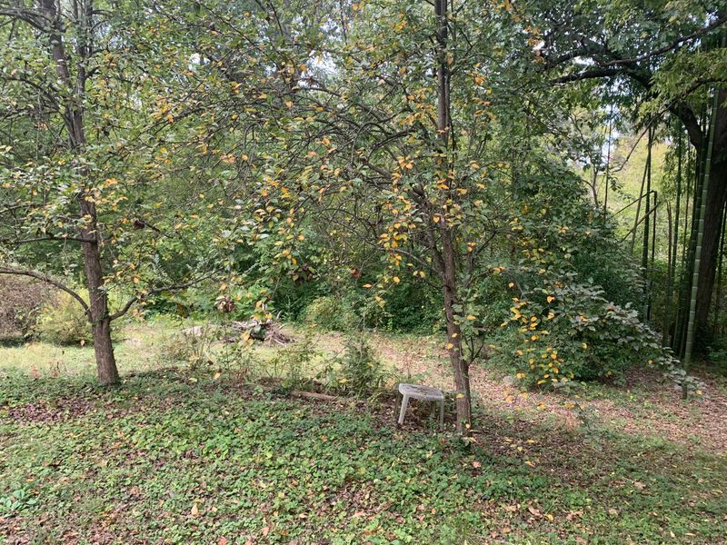 1704 Stevens St, Knoxville, TN 37920