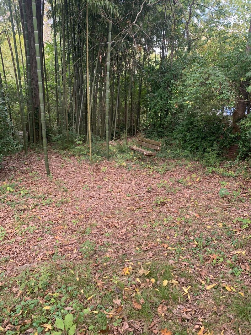 1704 Stevens St, Knoxville, TN 37920